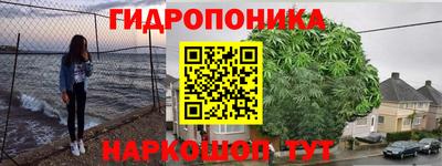 прущие грибы Малгобек