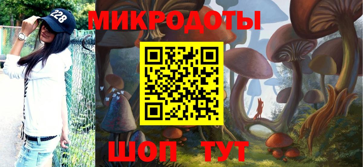 Шали  Псилоцибиновые грибы MAGIC MUSHROOMS  Вход с VPN 
